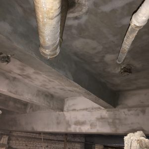 IMG_011767